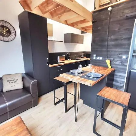 Apartamento Le Nid De La Tourelle - Wifi - Hopital - Iut