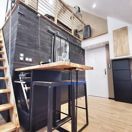 Apartamento Le Nid De La Tourelle - Wifi - Hopital - Iut